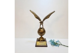 지구독수리(소)상패 감사패 공로패 이글 트로피 골프 이글패 주문제작 브론즈아트공방 독수리