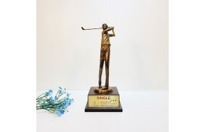 신)골프 소 남자 상패 황동 청동 공예품 홀인원 이글패 싱글패 골프 브론즈 상패전문업체