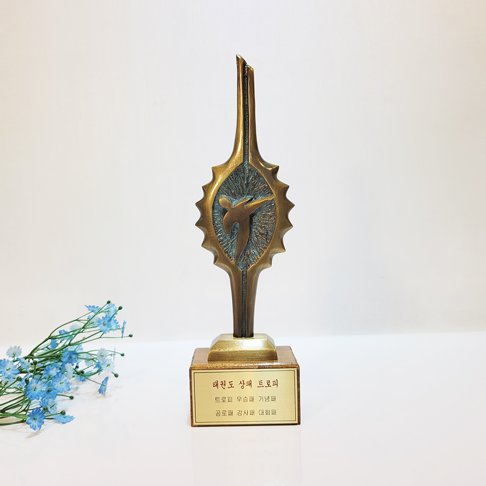 태권도 트로피 상패 우승패 감사패 공로패 스포츠대회 기념트로피 제작 횃불 동 브론즈