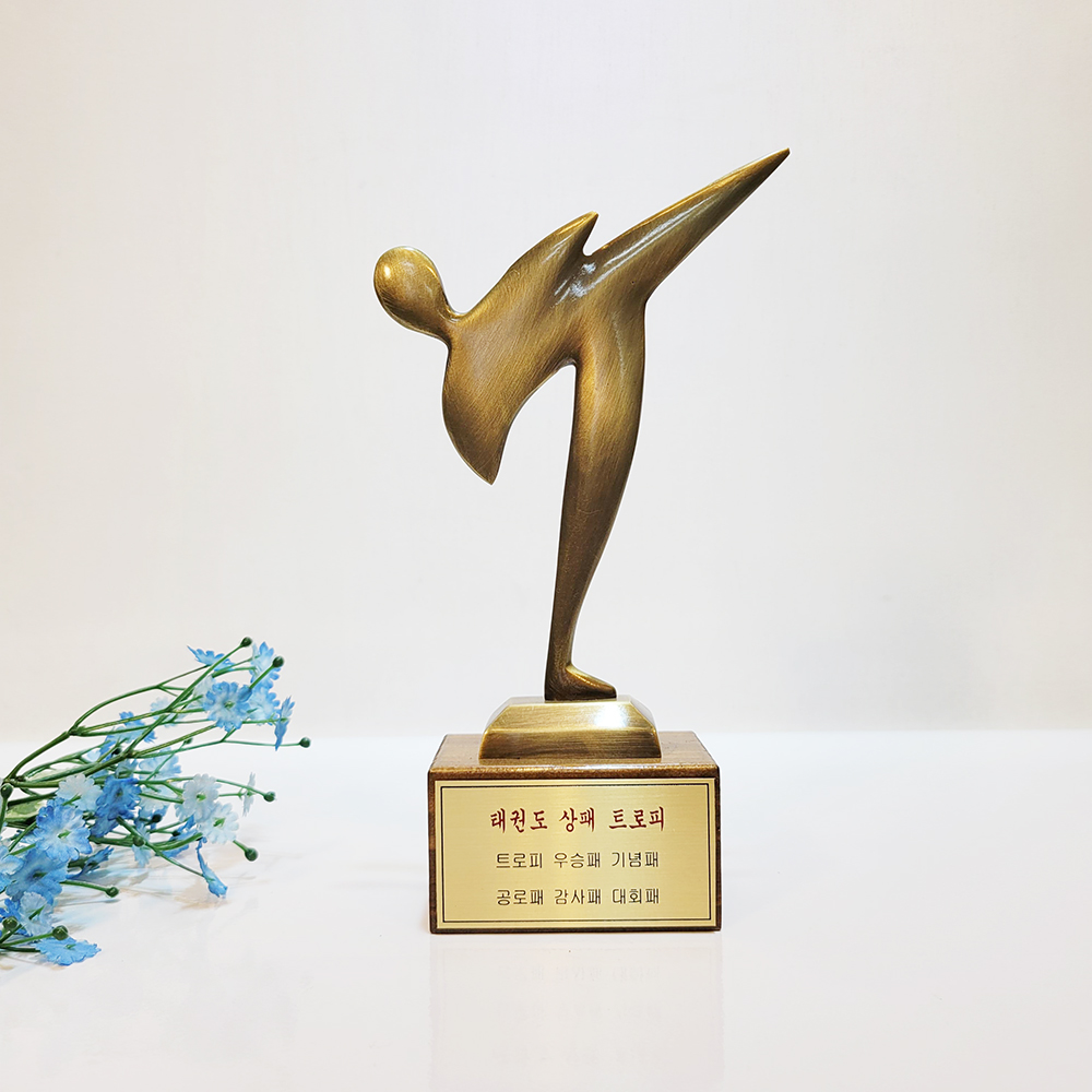 태권도 트로피 상패 우승패 감사패 공로패 스포츠대회 기념트로피 제작 추상상패 동 브론즈