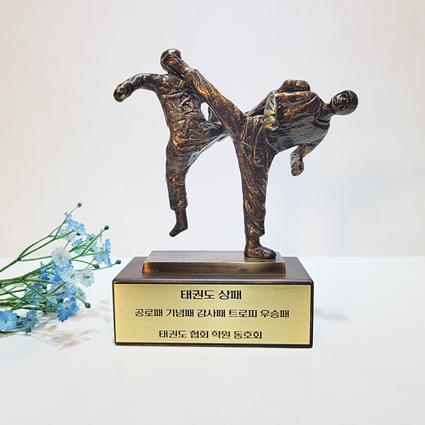 태권도 트로피 상패 우승패 기념패 감사패 공로패 스포츠대회 동호회 태권도협회 학원 동 브론즈