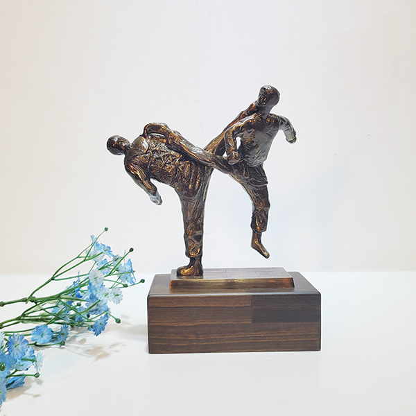 태권도 트로피 상패 우승패 기념패 감사패 공로패 스포츠대회 동호회 태권도협회 학원 동 브론즈