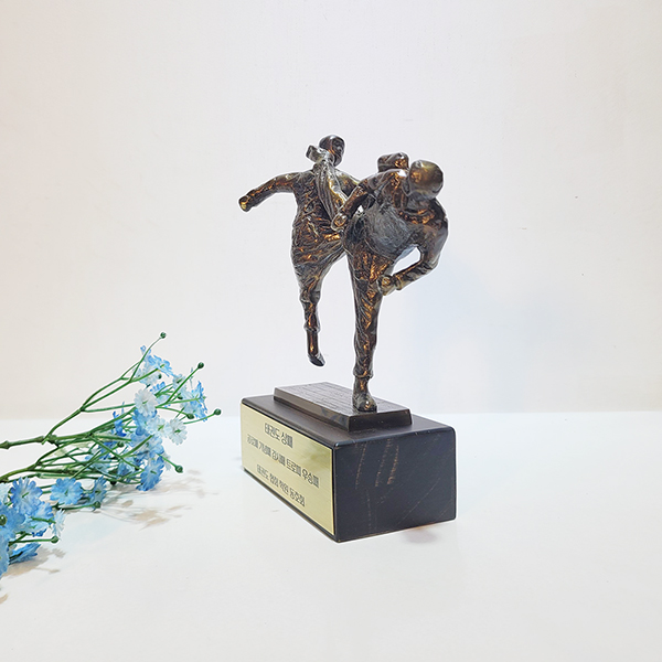 태권도 트로피 상패 우승패 기념패 감사패 공로패 스포츠대회 동호회 태권도협회 학원 동 브론즈