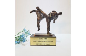 태권도 트로피 상패 우승패 기념패 감사패 공로패 스포츠대회 동호회 태권도협회 학원 동 브론즈